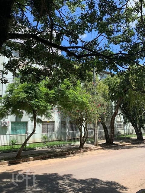 Image 24 - 252187